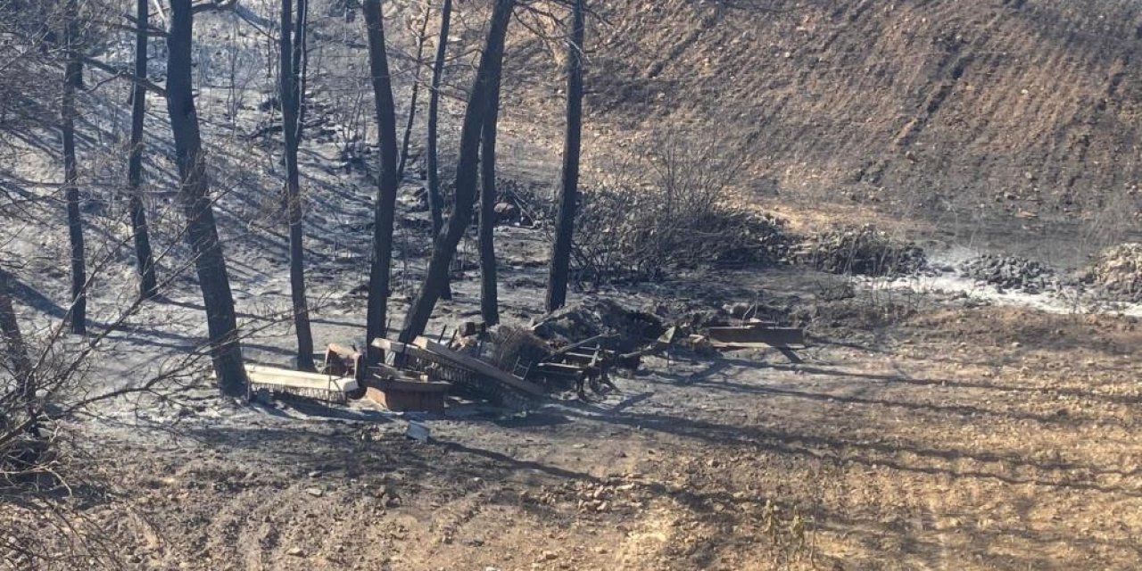 Evini yangından korumaya çalışırken kalp krizi geçirdi