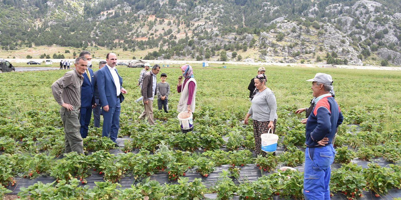 Konya'da yüzlerce aileye yeni ekmek kapısı