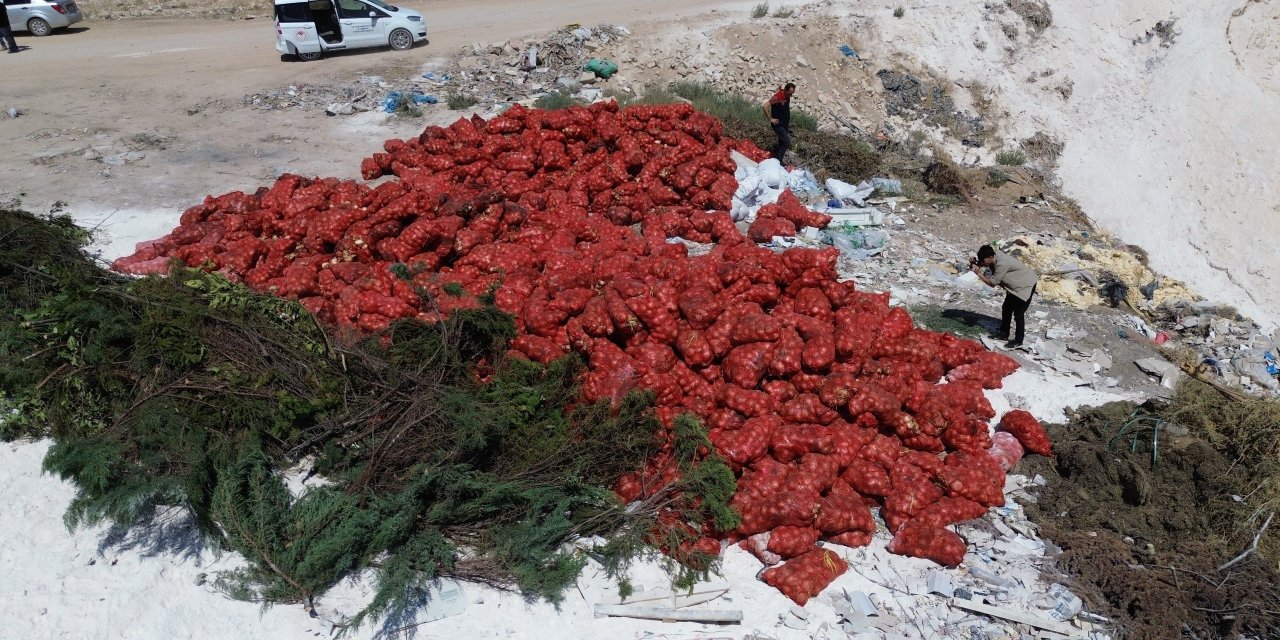 Boş araziye atılan tonlarca soğan çürümeye terk edildi