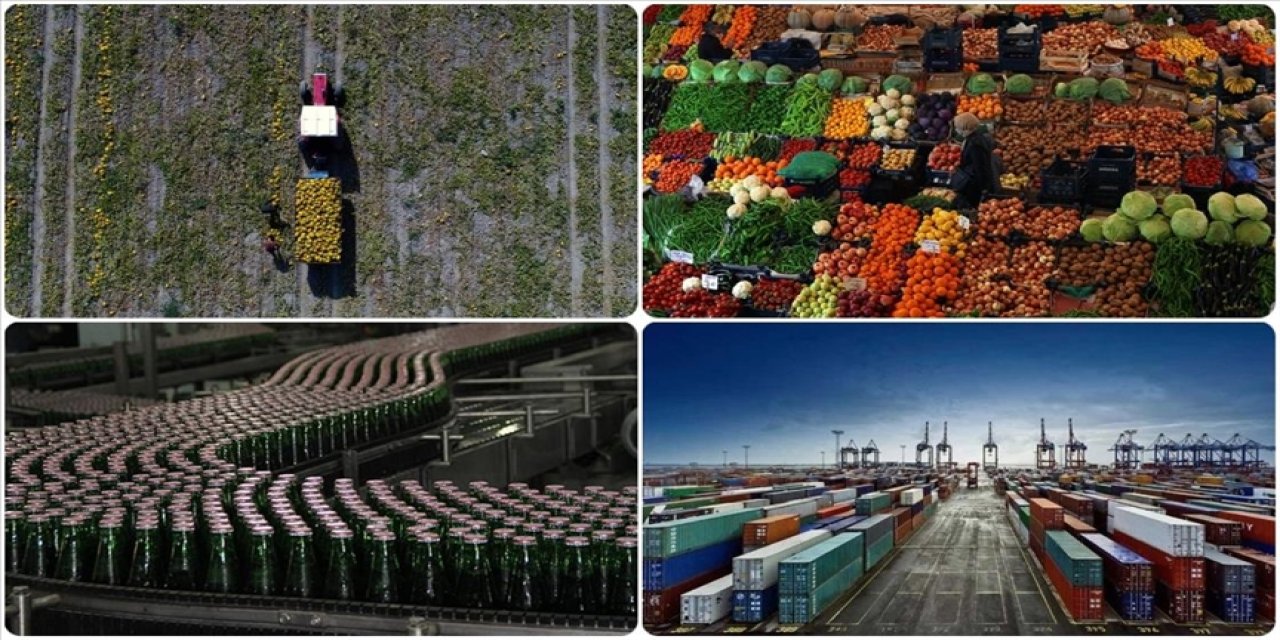 Fındık, ayçiçeği yağı ve buğday unu Türkiye’yi dünyaya taşıdı