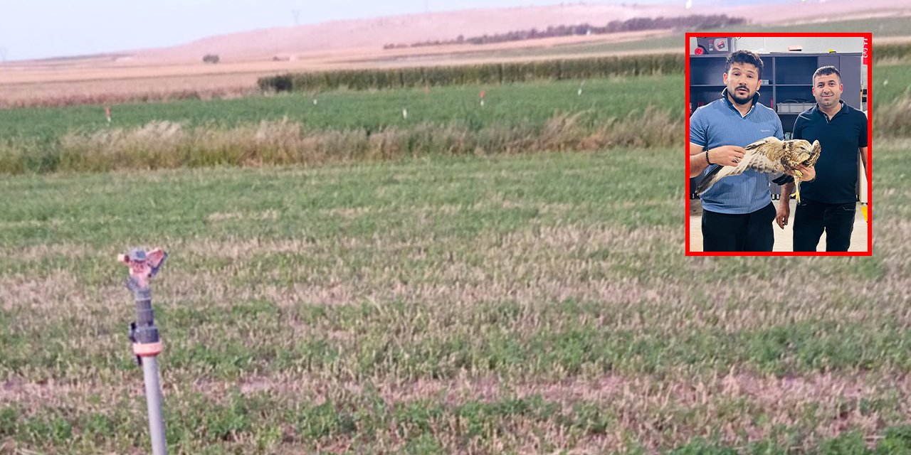 Konya’da tarlasını kontrole gitti, ummadığı bir cana umut oldu