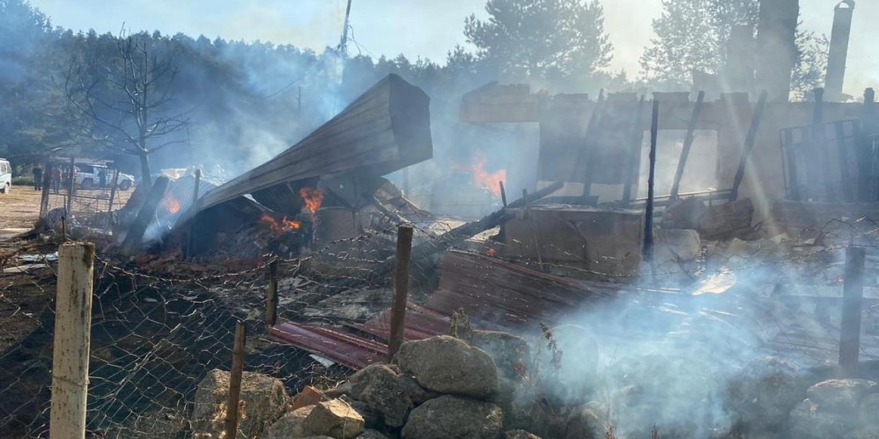 12 yapıyı kül eden yangının sebebi belli oldu! İtiraf geldi