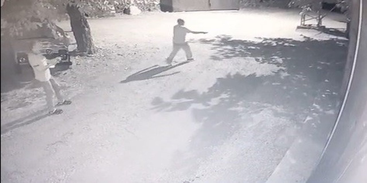 Köye inmek isteyen ayı fenerle püskürtüldü