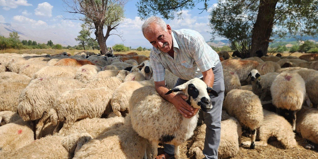 Çoban maaşı asgari ücretin 6 katına çıktı