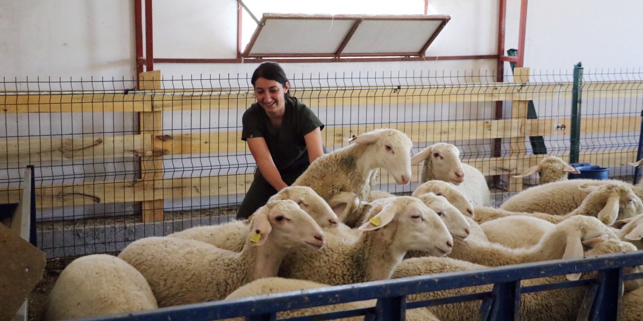 Konya'da hayalini kurdu, kendi işinin patronu oldu
