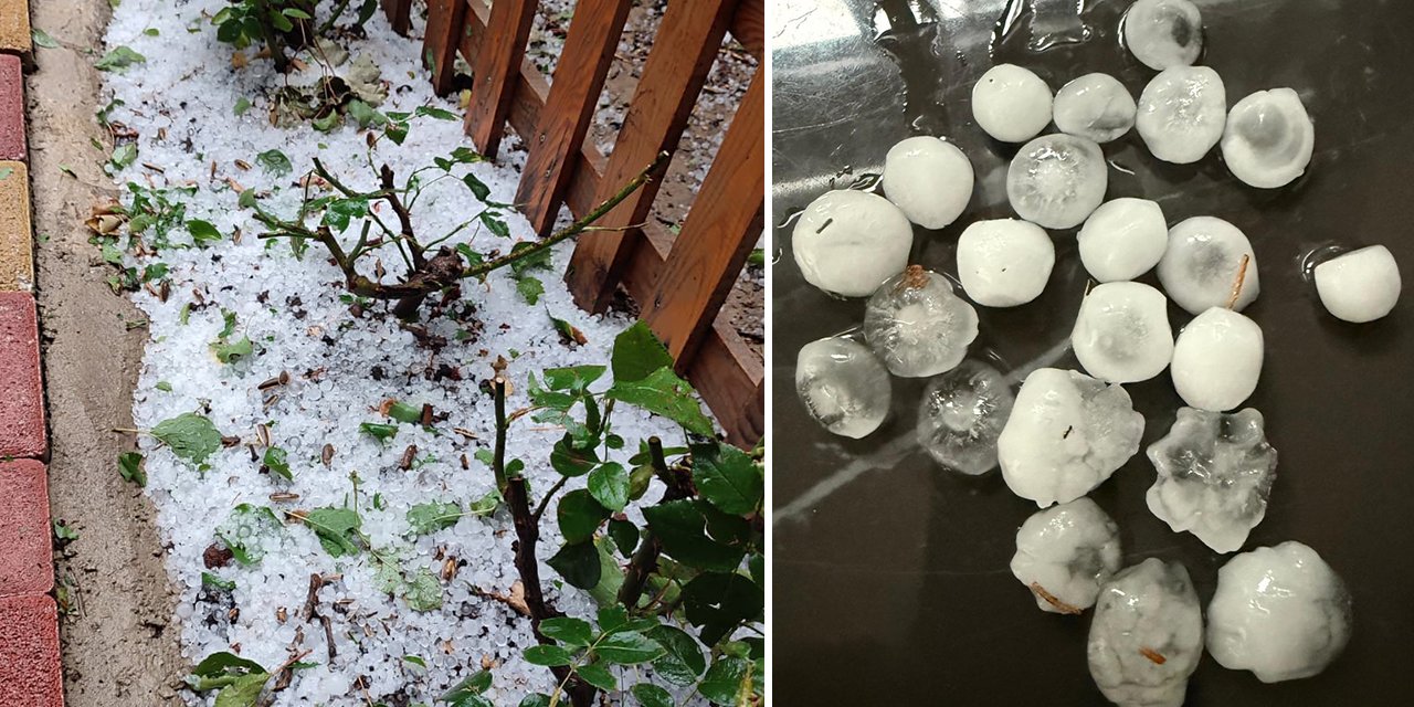 Konya’da dolu yağışı ekili alanlara zarar verdi