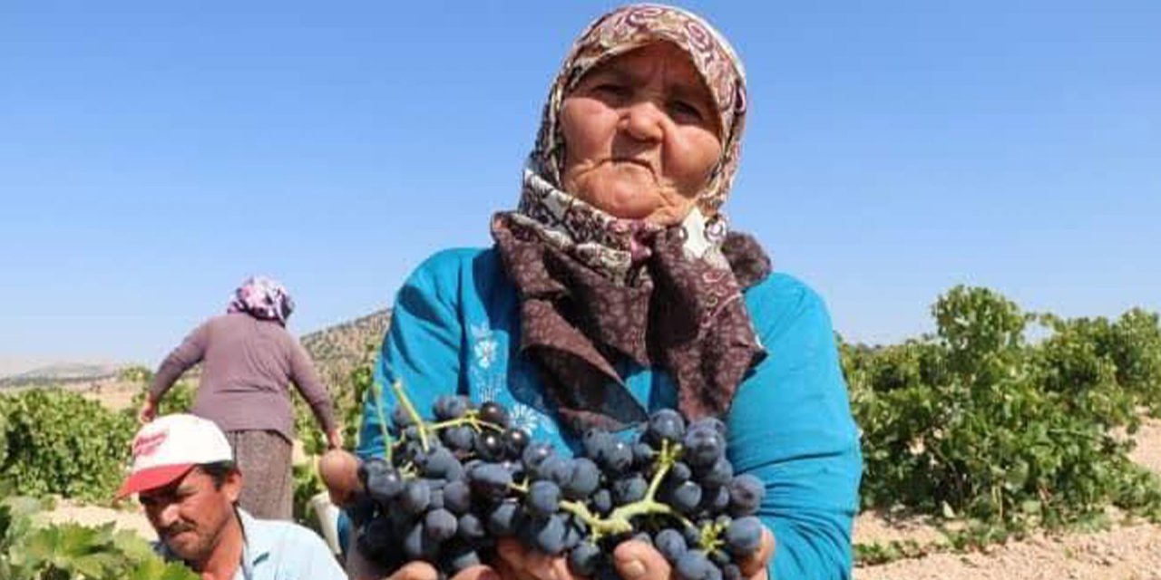 Konya Ovasının gururu Türkiye’yle buluşuyor