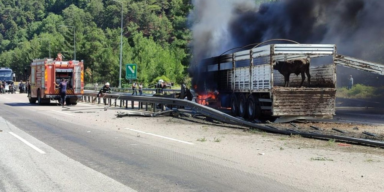 Hayvan yüklü TIR otoyolda alev alev yandı