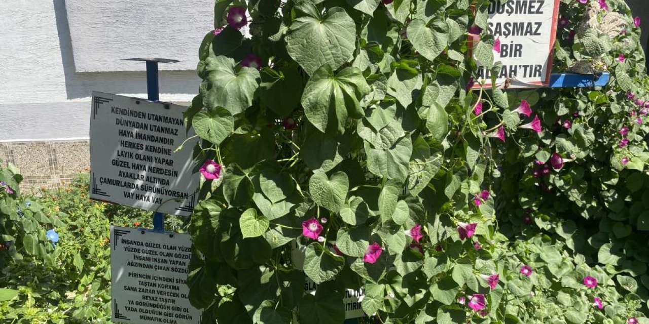 Bu bahçeye girenler hayat dersi almadan çıkmıyor