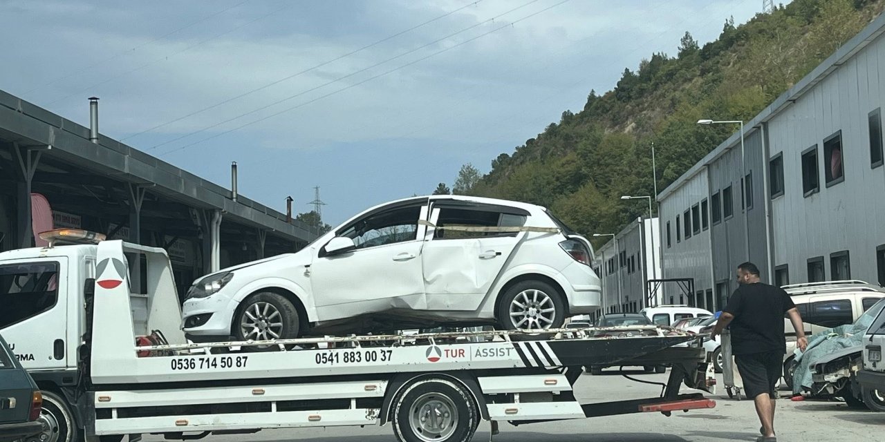Arının sebep olduğu trafik kazasında 2 kişi yaralandı
