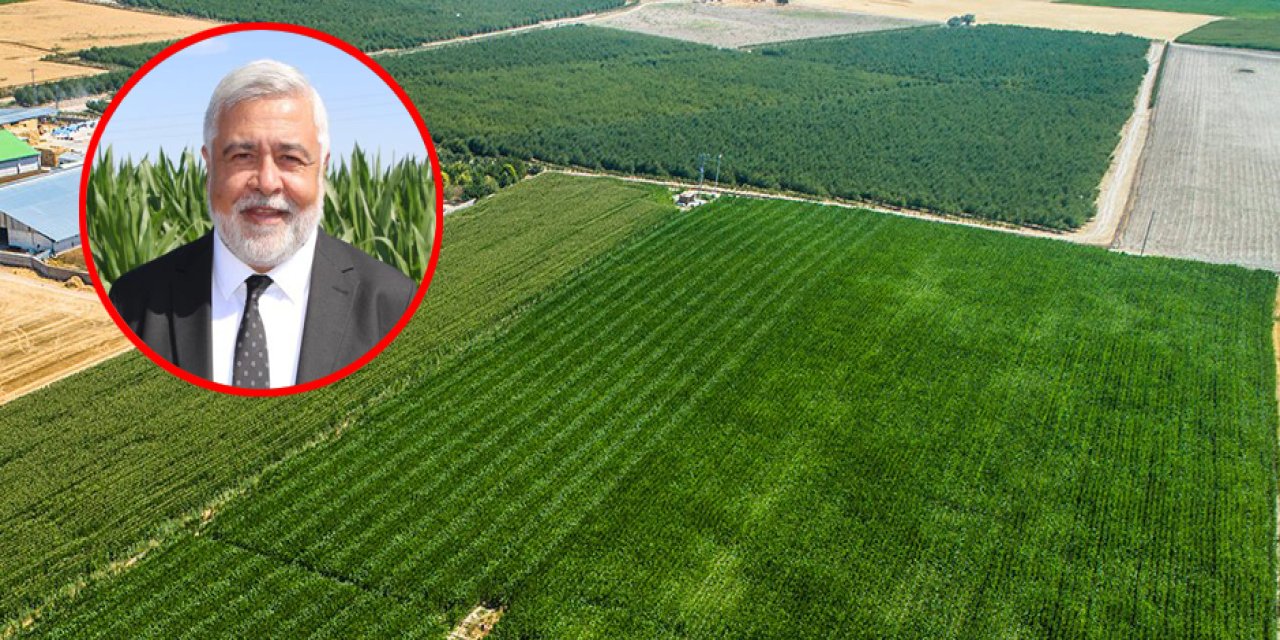 Tarım yok olma eşiğinde! Konya’daki risk Türkiye’ye yayılıyor