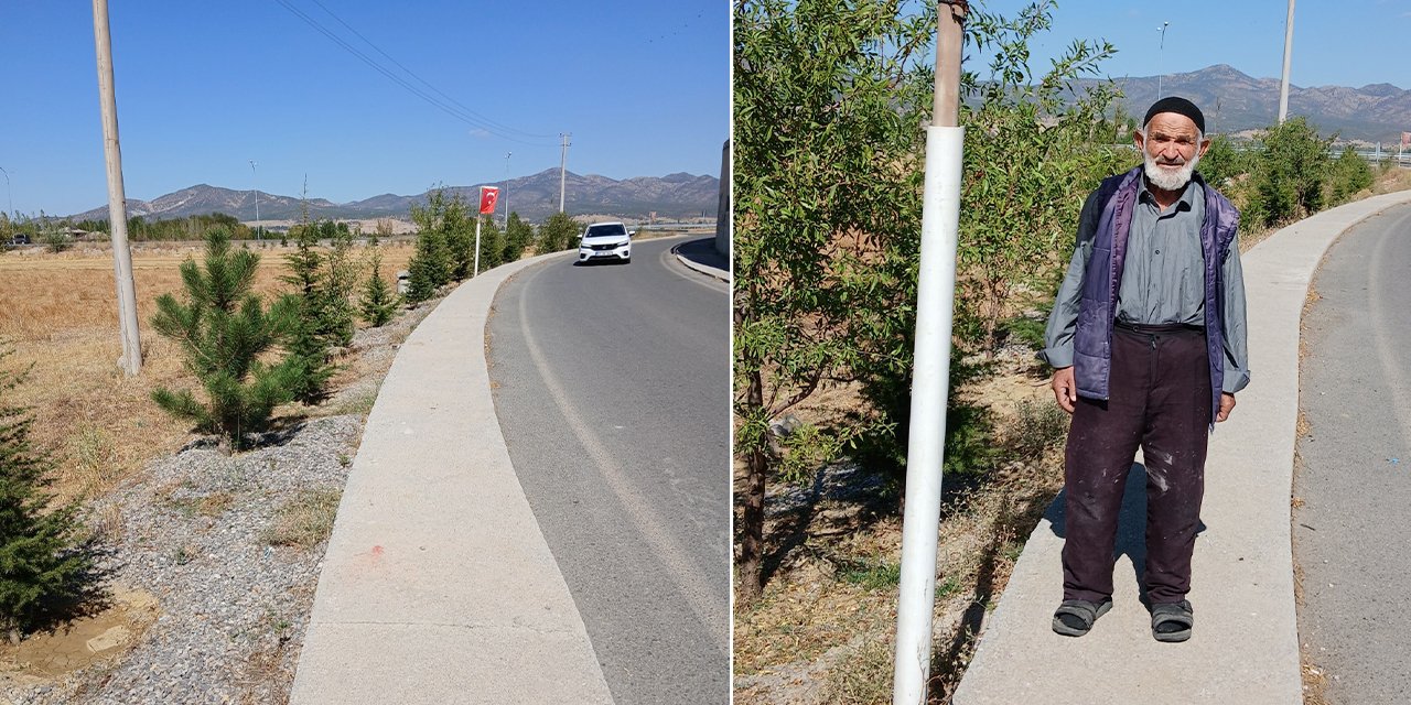 Konya'nın "Ağaç Dedesi" insanlığın geleceğini pazar arabasında taşıyor