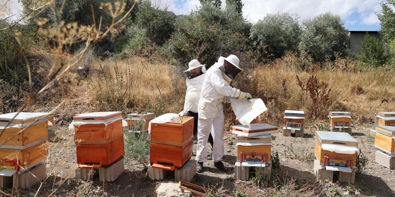 Konya’dan emekli profesör yeni sektördeki ilk hasadına hazırlanıyor