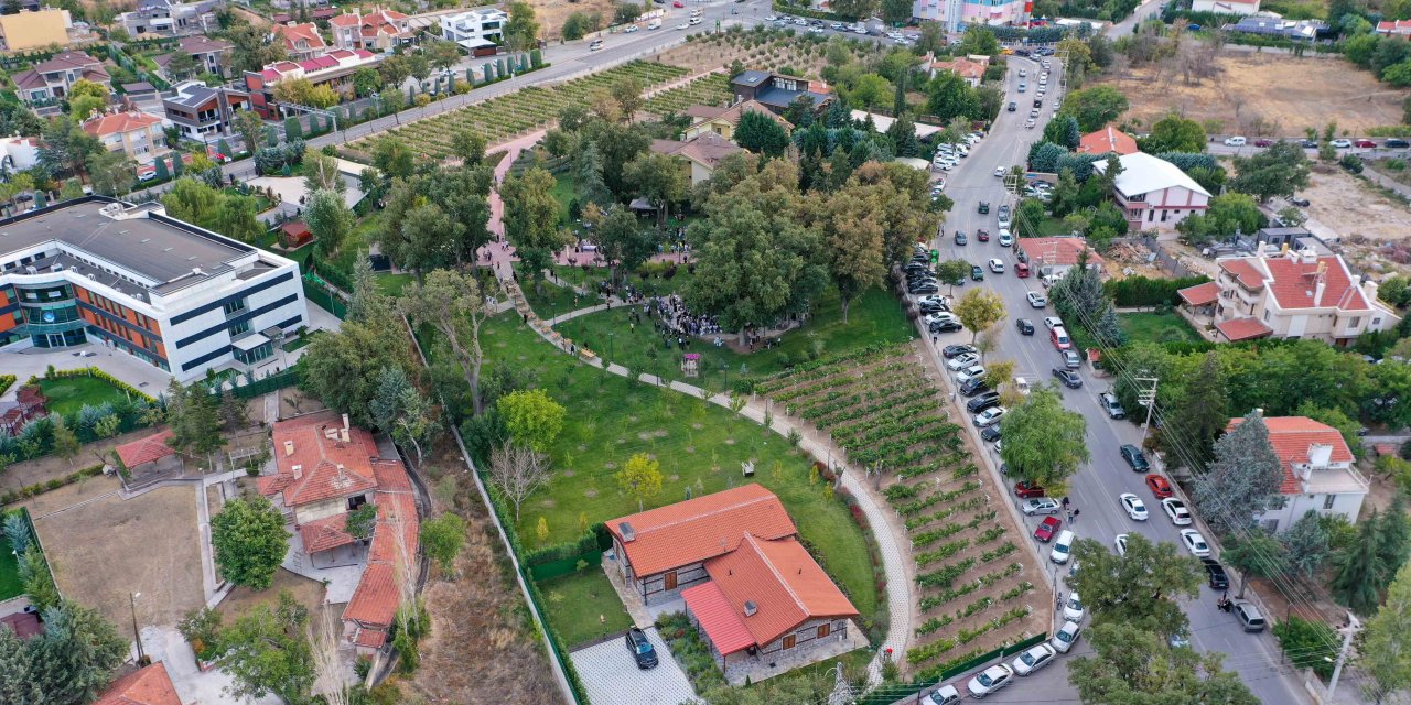 Meram Bağları kültür ve bereketle canlandı