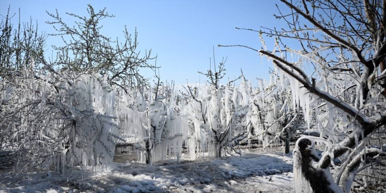 Konya dahil 65 ilde çiftçiye 46,5 milyar liralık destek