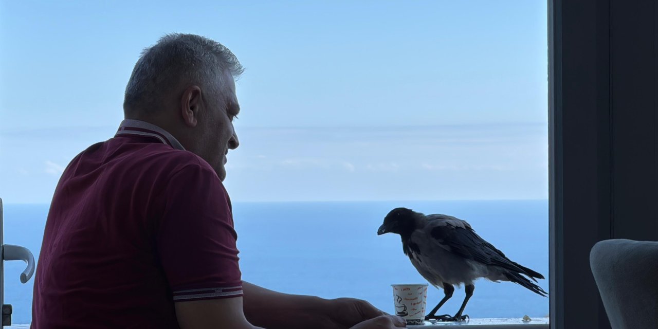 Kargayı besledi, gözü oyulmadı! Şakir'in sadakati sınavı geçti