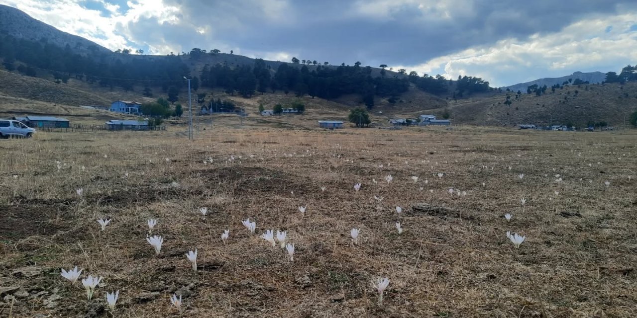 Konya’da VarGit zamanı