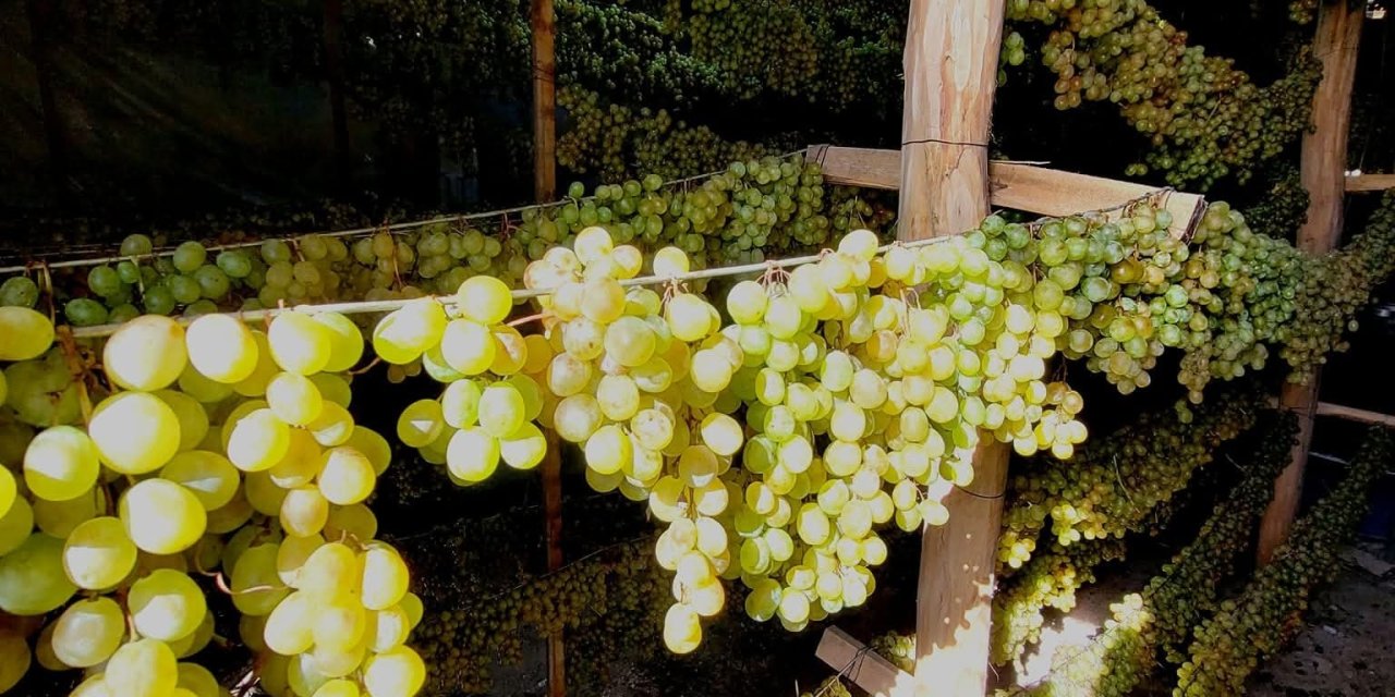 Konya’nın tatlı sırrı tavanlara asıldı