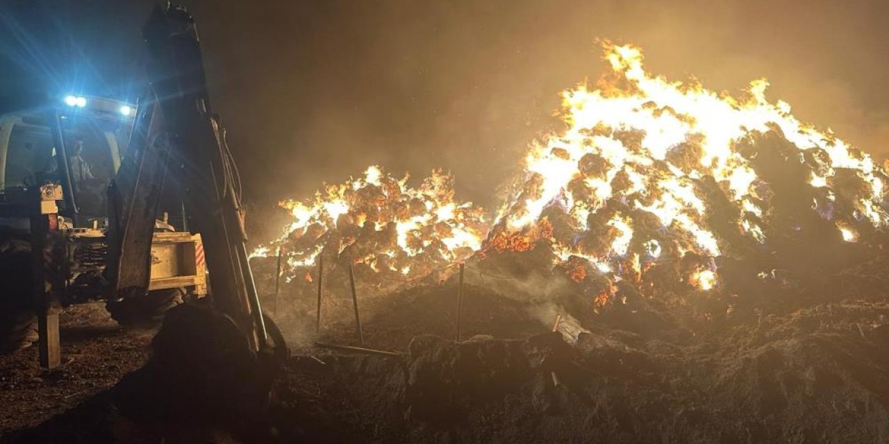 Mahalle muhtarının 2 bin 500 ot balyası küle döndü