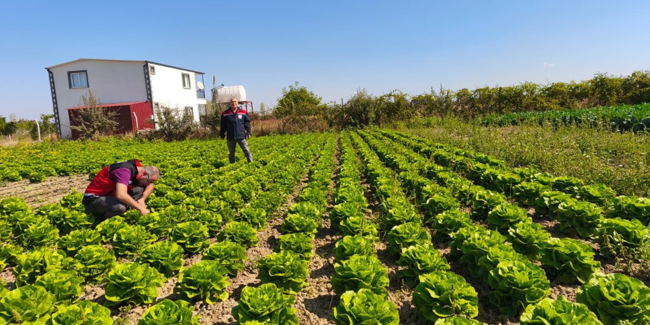Konya’da meyve ve sebze bahçelerine sıkı takip