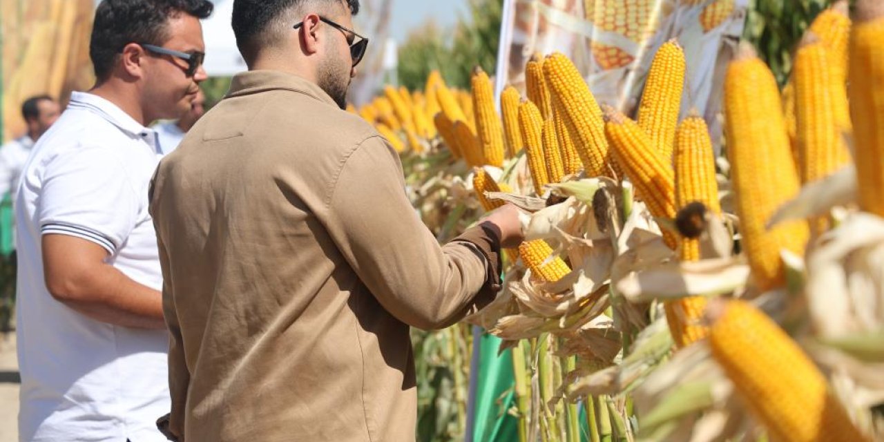 Konya’da son dönemde üretimi eleştiriliyordu! Yeni hibrit çeşitleri tanıtıldı