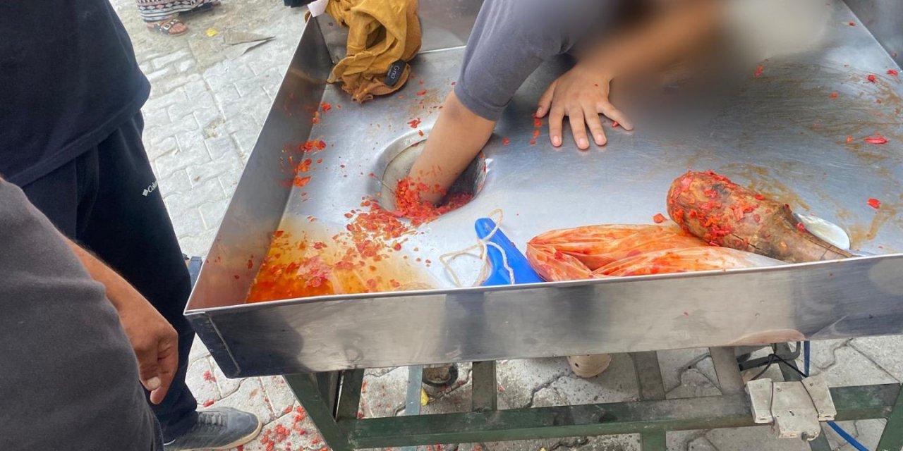 16 yaşındaki kızın eli salça makinesine sıkıştı