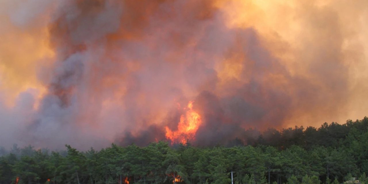Konya’da ormanlık alanda yangın çıktı