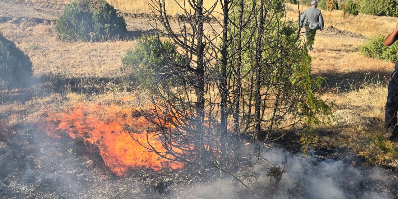 Konya’da piknikçi ateşi ormanı yaktı
