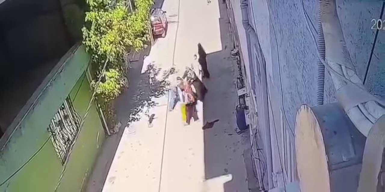 Kucağında çocuğu olan anneye 3 kişi saldırdı