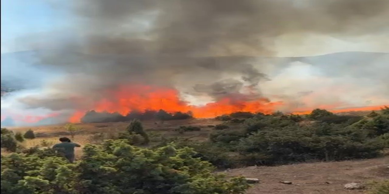 Salça kaynatırken 30 dönüm alan kül oldu