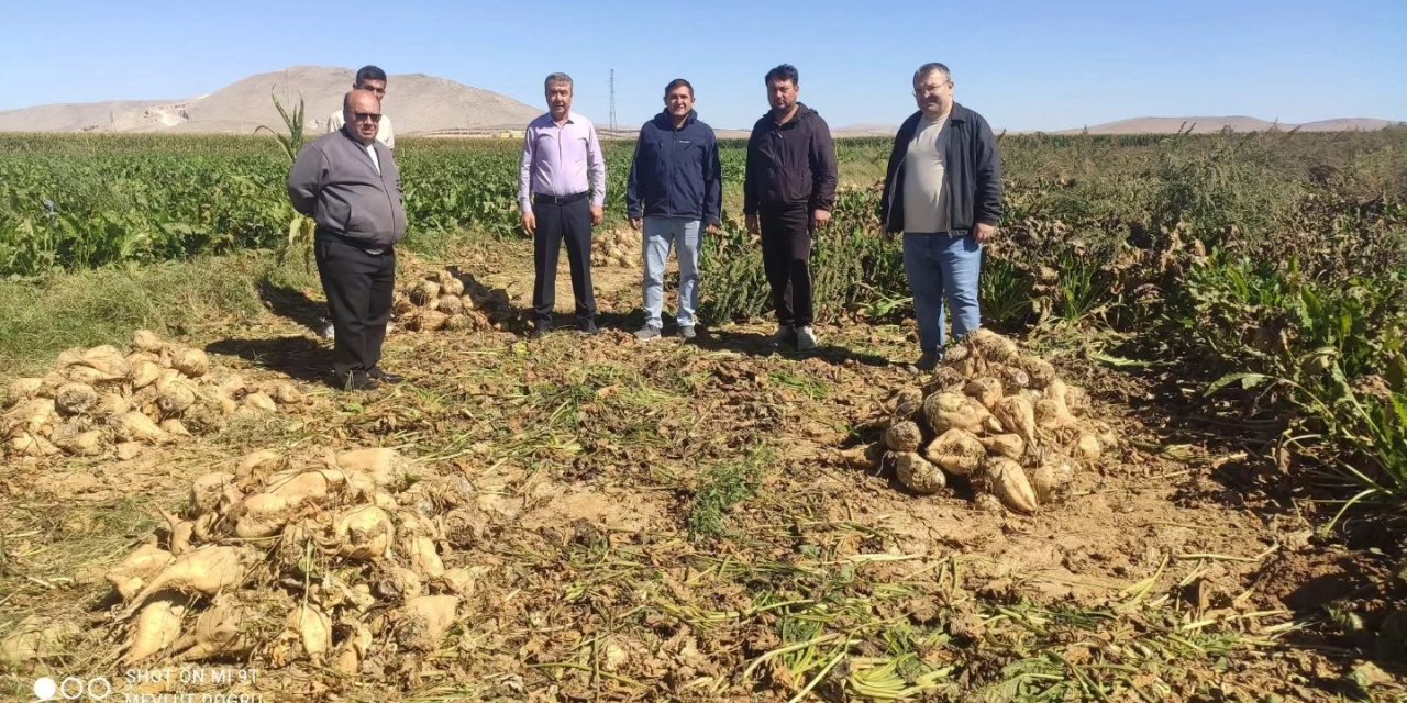 Konya’nın üreten ilçesinde ilk pancarlar tarladan çıkarıldı