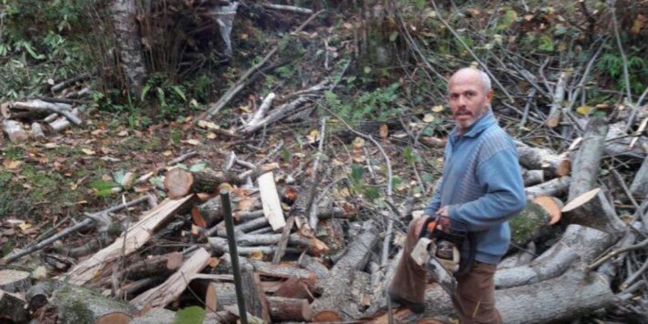 Bahçesinde kestiği ağaç sonu oldu