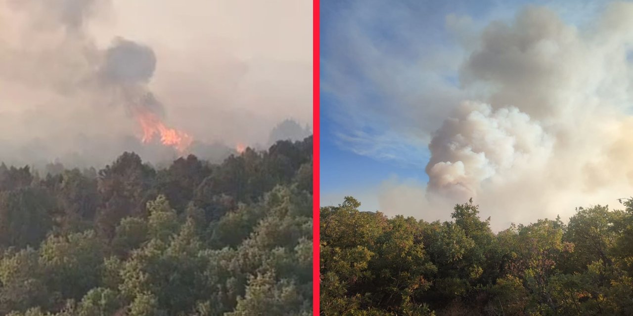 Konya’da sazlıkta çıkan yangın ormana sıçradı