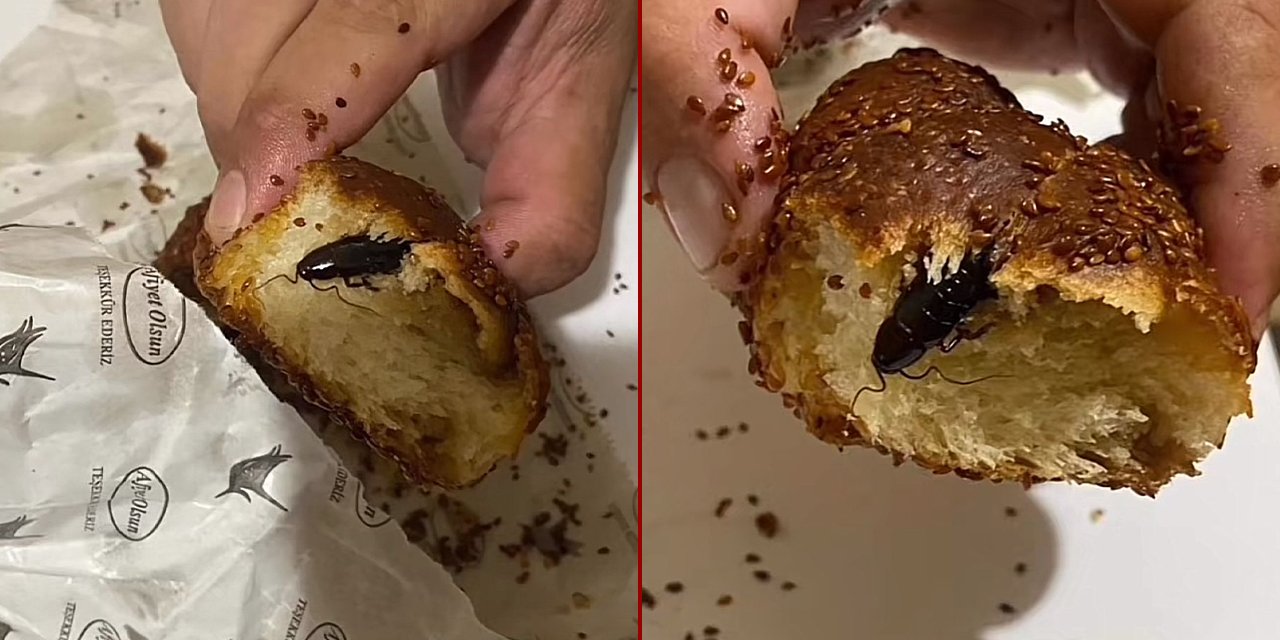 Zeytinli poğaçanın içinden zeytin yerine bakın ne çıktı