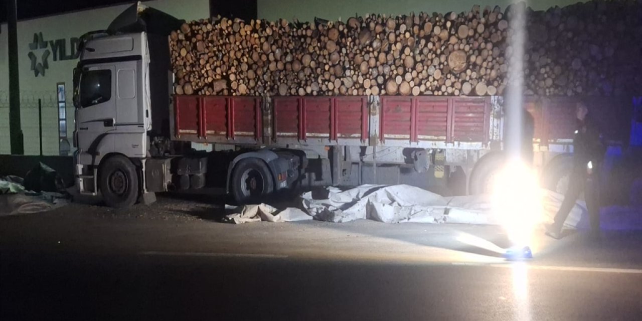 Brandayı toplarken otomobilin çarptığı TIR şoförü öldü