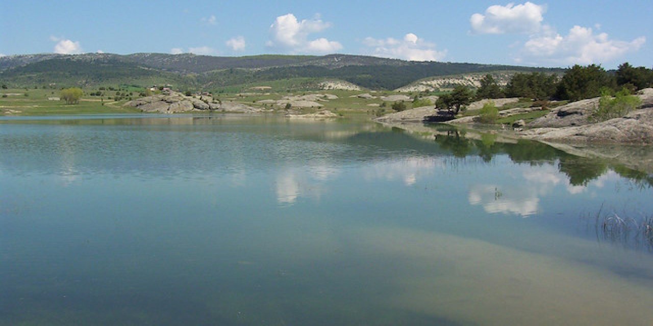 Ağa takılan dev balık, balıkçıların yüzünü güldürdü