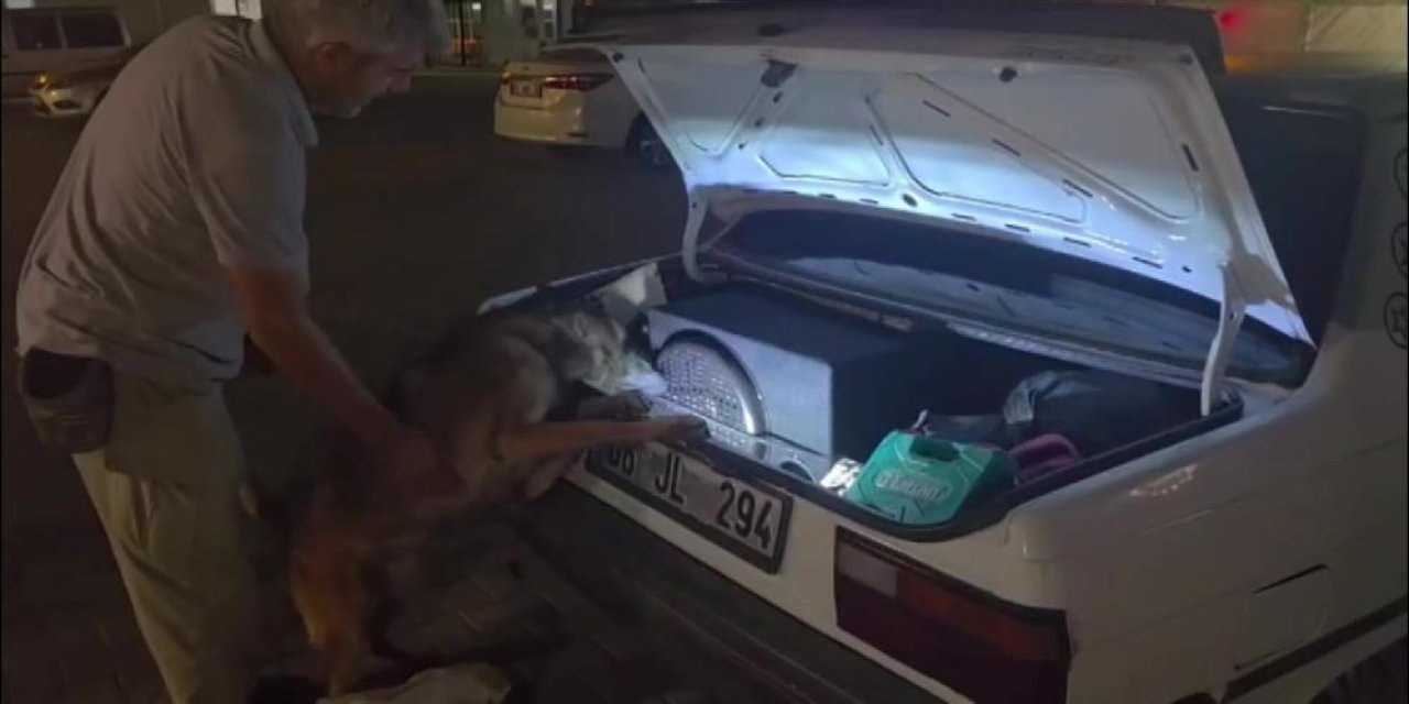 Otomobilin bagajındaki hoparlör zehir deposu çıktı