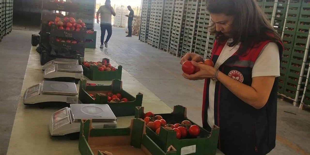 Konya’da yetişen ürünler ihracat yolunda