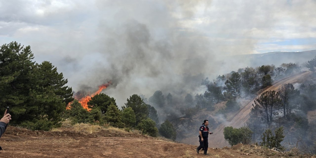 Konya Derbent’te orman yangını çıktı