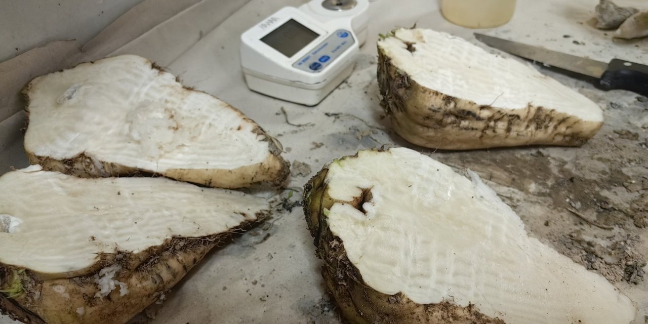 Konya’da söküm başladı, değerler ortaya çıktı