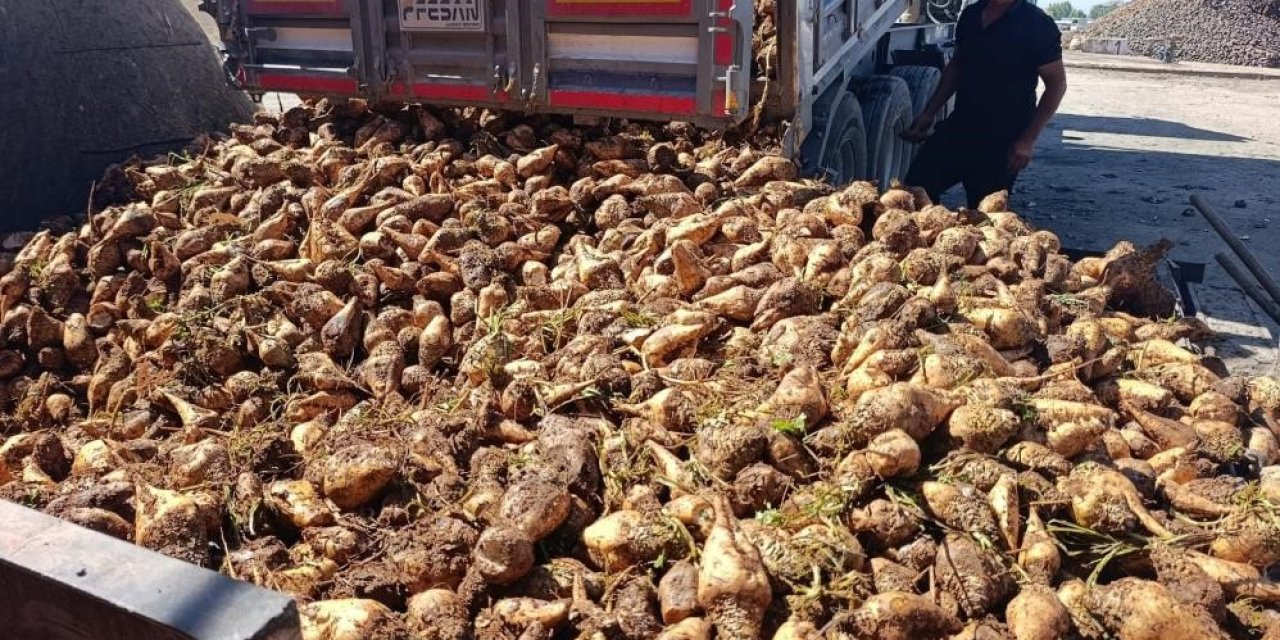 Şekerde metal kalıntısı iddiası Tarım Bakanlığını harekete geçirdi