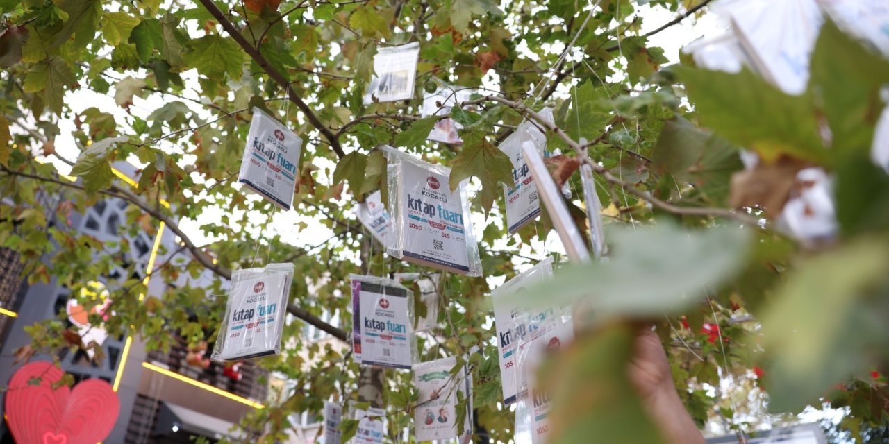 Asırlık çınarlardan sarkan kitaplar dakikalar içinde hasat edildi