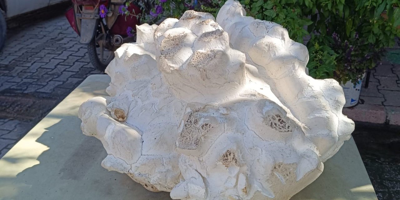 Konya yaylasında görülmemiş manzara