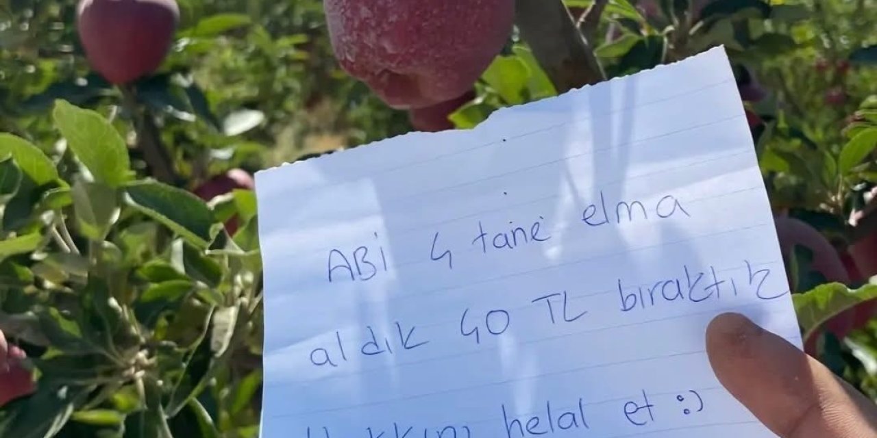 Konya Ovasının üretim merkezinde elma fiyatı tartışması