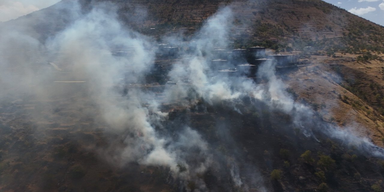 Patlıcan közlerken ormanlık alanı küle çevirdiler