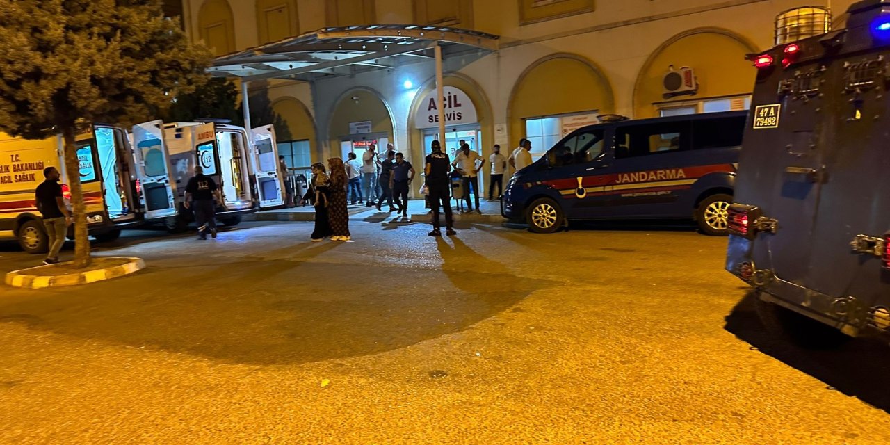 Otomobilin çarptığı eşek ile üzerindeki kişi yaralandı