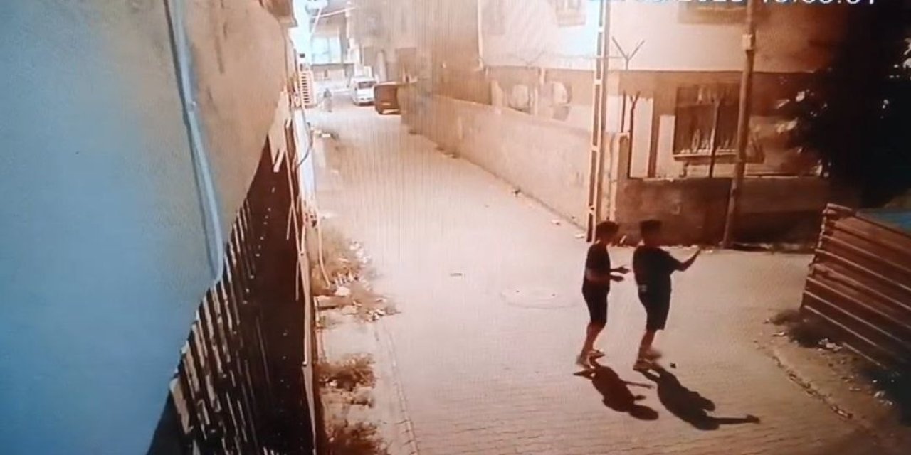 Pencereye tırmanıp sahipli kediyi çaldılar