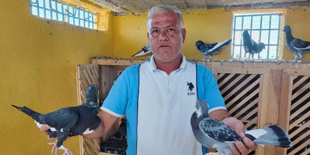 Bu kuşları bulana 100 bin lira ödül