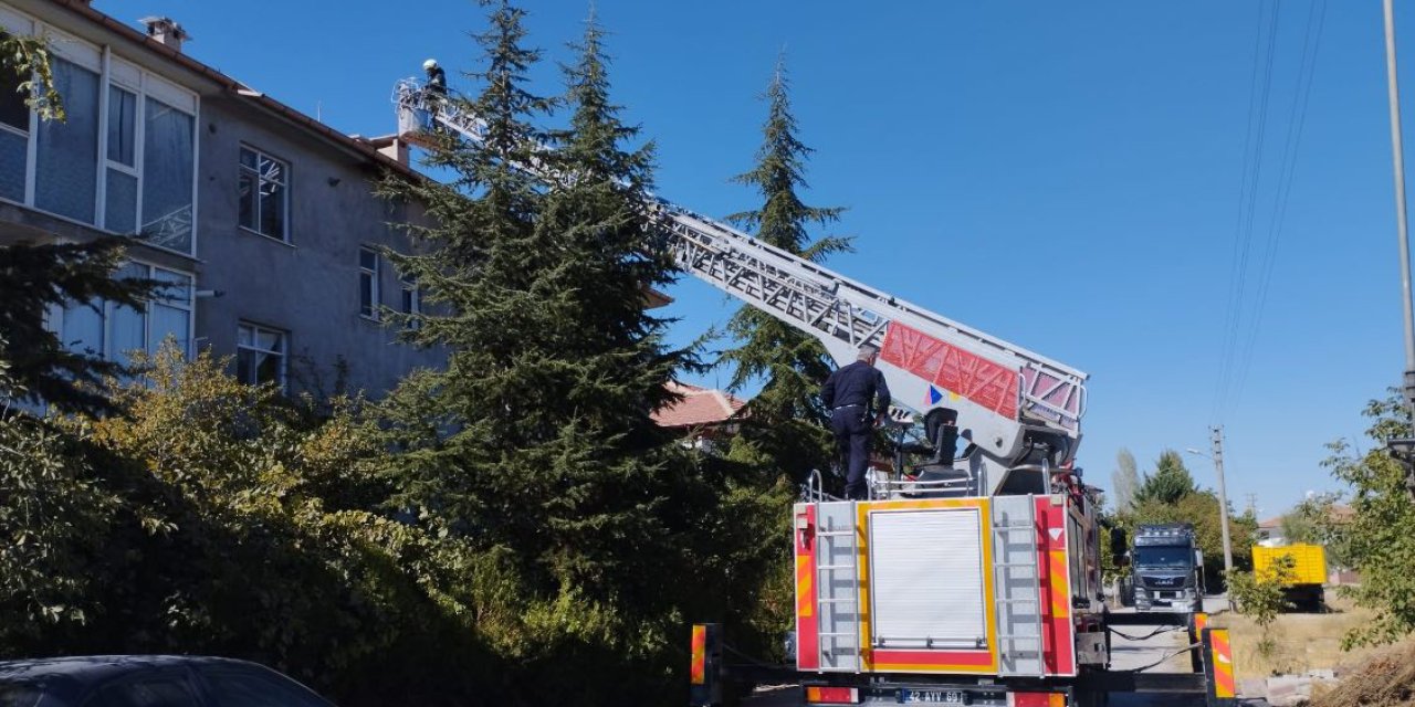 Çatıda mahsur kalan kediyi Konya itfaiyesi kurtardı