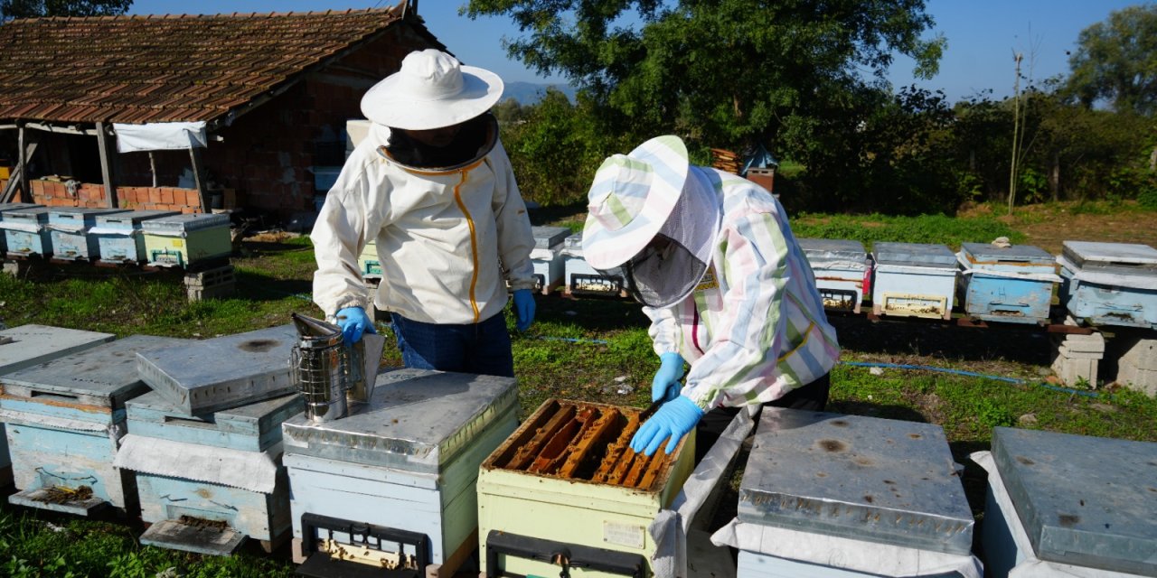 Komiser bal kovanına operasyon düzenledi